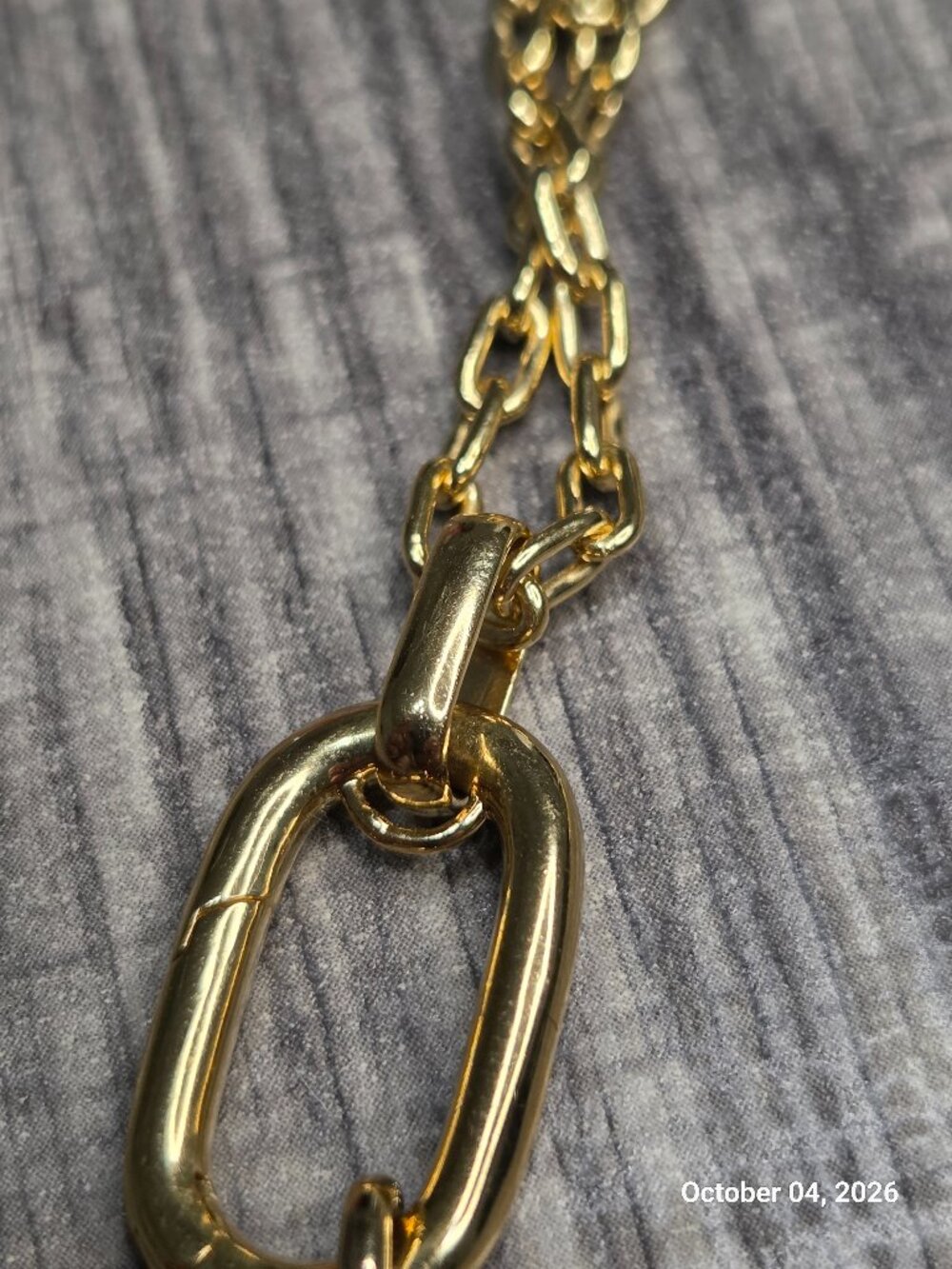 Authentic Pandora Sardine Fish Necklace Set - Picture 10 of 10